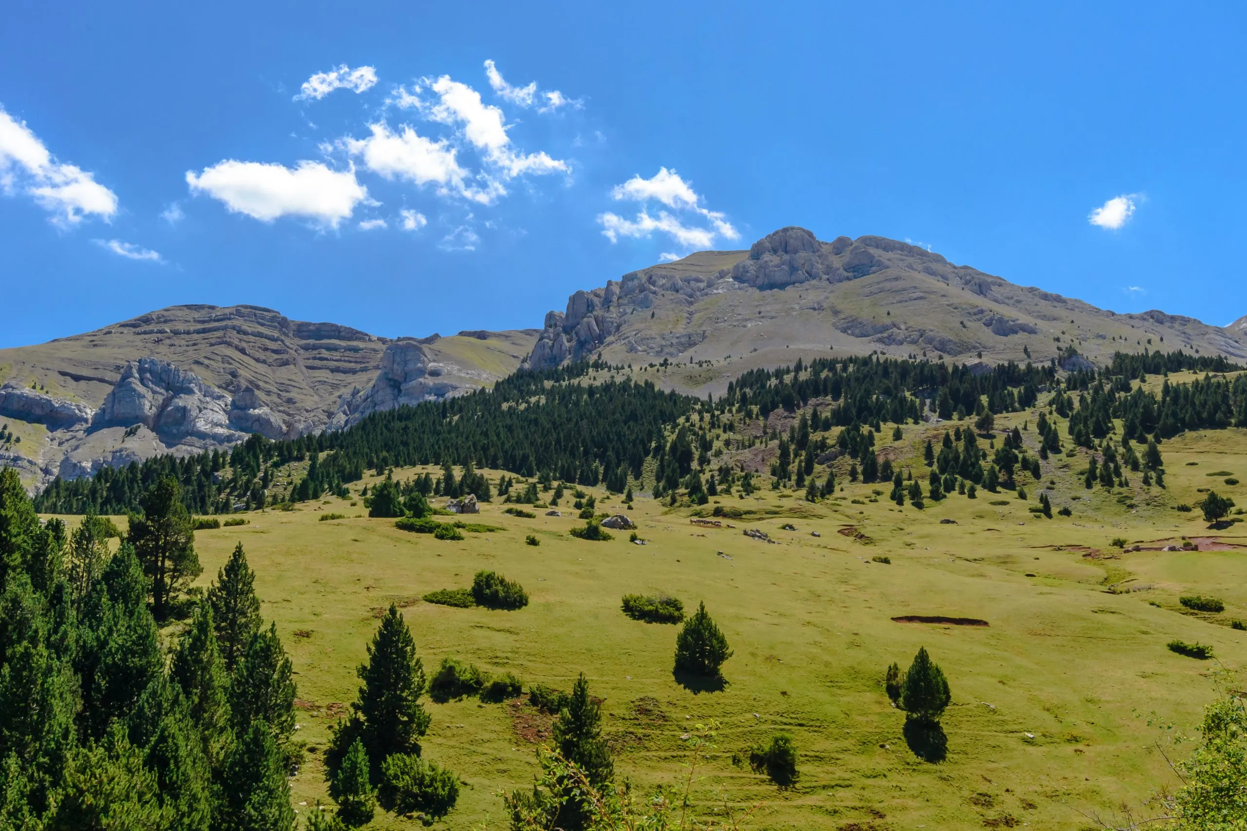 Das herrliche Cadí-Gebirge (Prat d'Aguiló, Cerdanya, Katalonien)